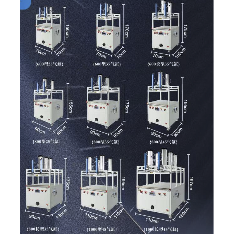 Vacuum Sealer Manufacturer - for Food Fish Meat Automatic Packing Sealing