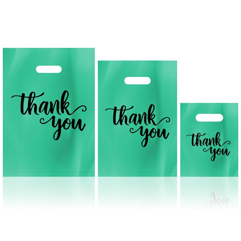 Shopping Plastic Bag Manufacturer - Professional Custom Retail LDPE Biodegradable Clothes Packing Boutique Thank You Die Cut