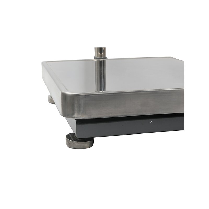 Digital Platform Scale Manufacturer - 100kg 1g Industrial Weighing