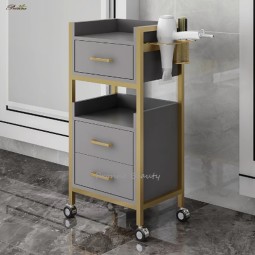 Manicure Tool Trolley Manufacturer - Luxury Iron Art Salon Trolleys Mobile Multi-layer Storage Rack Modern