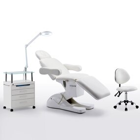 Facial Bed Manufacturer - Electric with Fold Dental Chair Sets