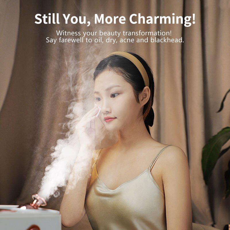 Facial Steamer Manufacturer - Private Model Professional Hot Cold Spray Vaporizer