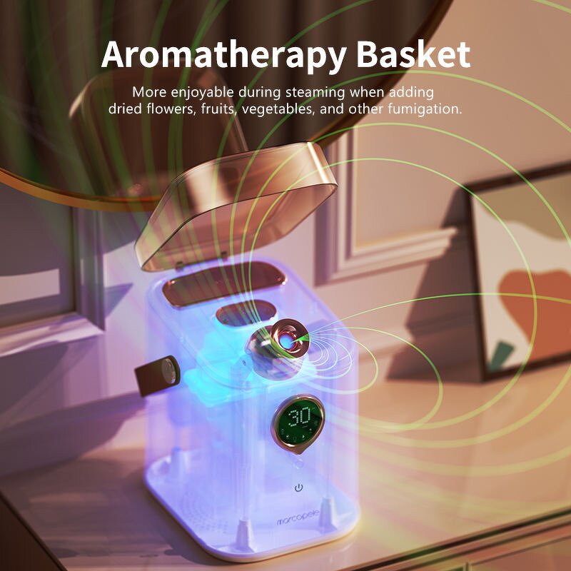 Facial Steamer Machine Manufacturer - Beauty Home with Hot & Cold Ionic Mist