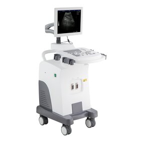 Mobile Ultrasound Machine - 15 Inch LED Screen for Physical Therapy Digital Scan