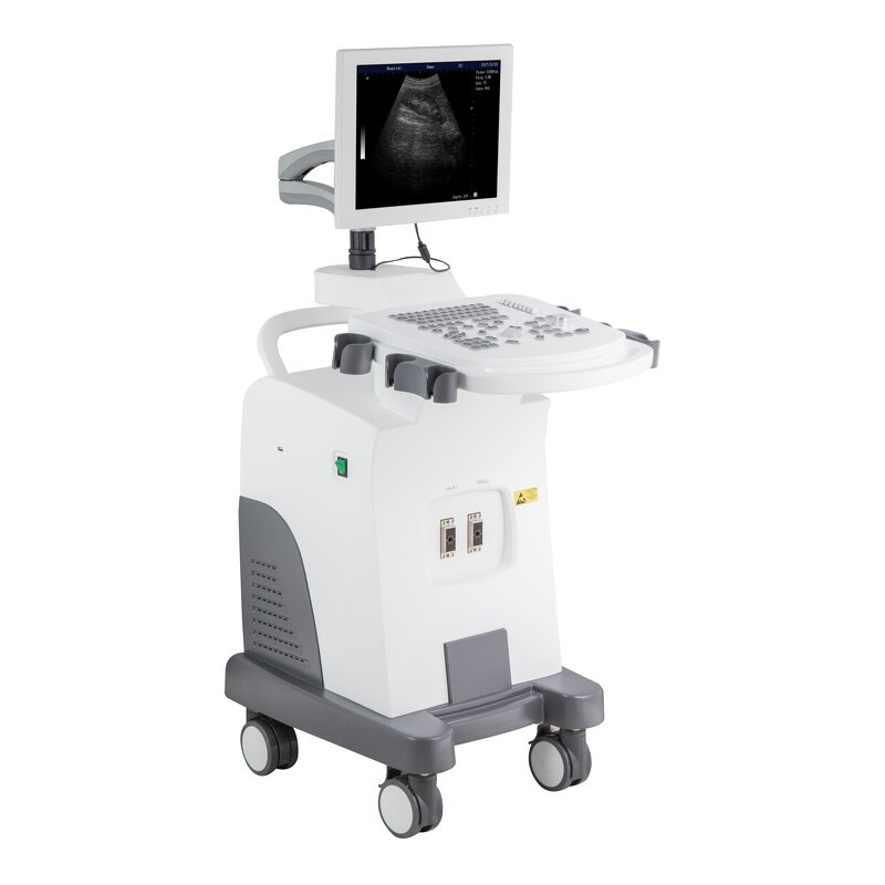 Mobile Ultrasound Machine - 15 Inch LED Screen for Physical Therapy Digital Scan