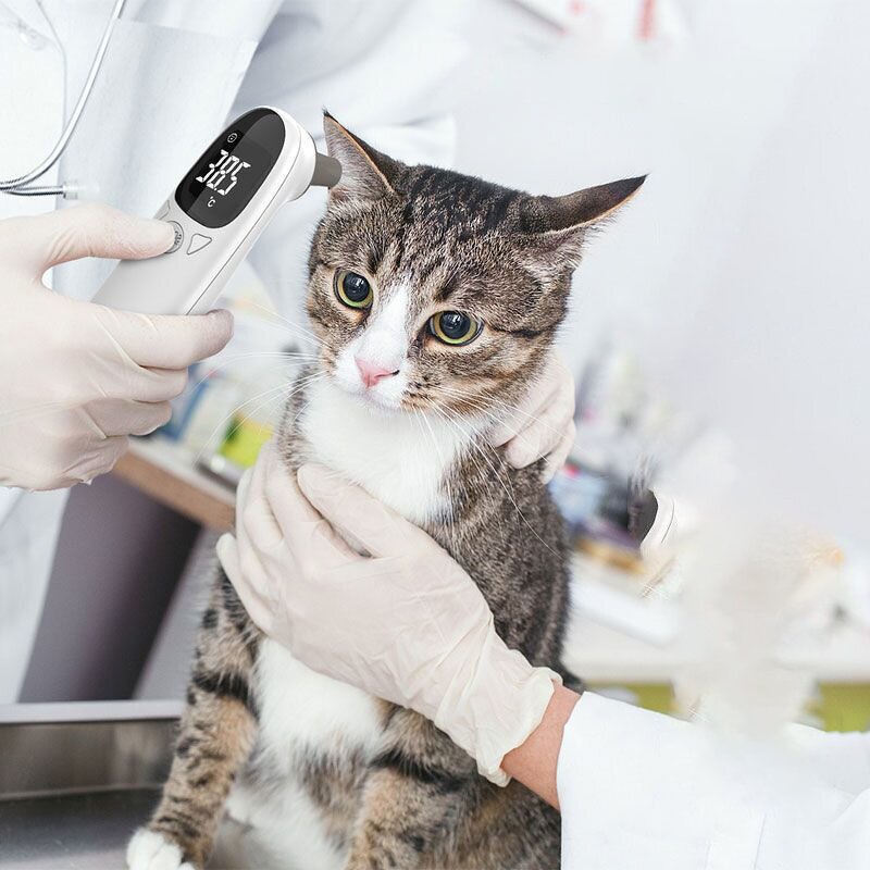 Pet Thermometer - Animal Temperature Measuring Ear Non Contact Electronic Device