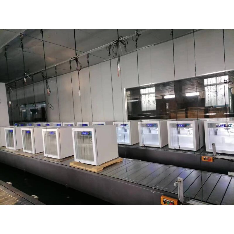 Mini Vaccine Freezer - 50L Low Temp Medical Refrigerator for Hospital Laboratory