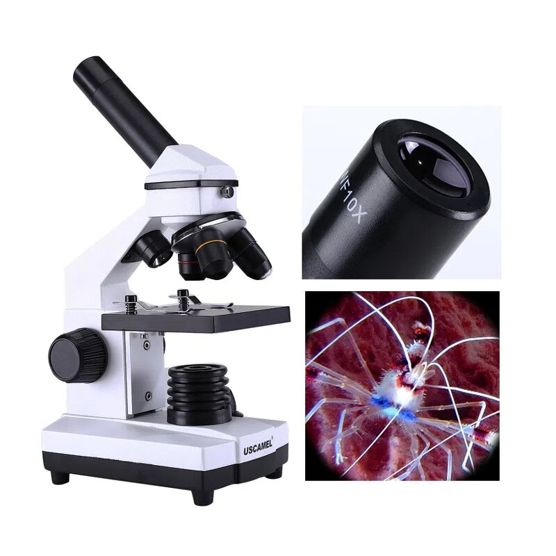 Monocular Microscope - 2000x with LED Slide Light Science Toy for Biology Lessons