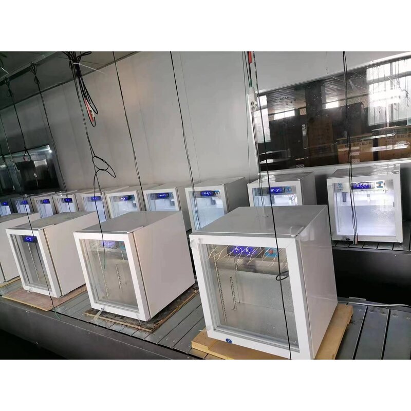 Mini Vaccine Freezer - 50L Low Temp Medical Refrigerator for Hospital Laboratory