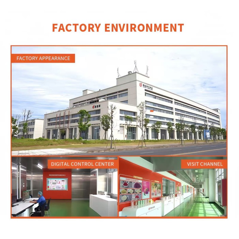 Sweet Potato Chips Manufacturer - Freeze Dried Baked Vegetable