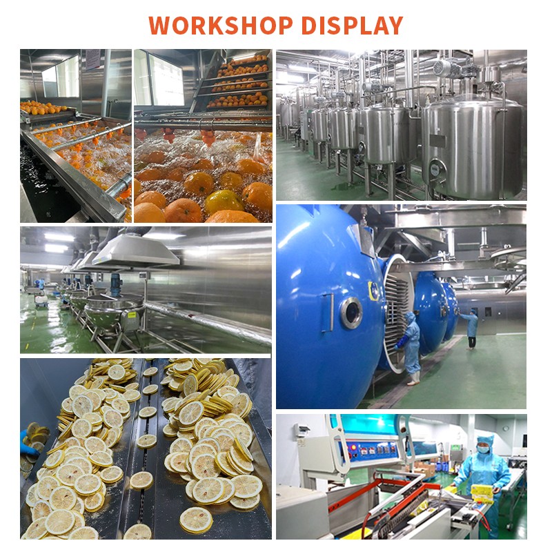 Yogurt Cubes Factory - Freeze Dried Probiotic Yogurt Treats