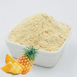 Pineapple Powder Factory - Freeze Dried Fruit Juice Powder