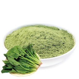 Spinach Powder Manufacturer - OEM Freeze Dried Green Powder