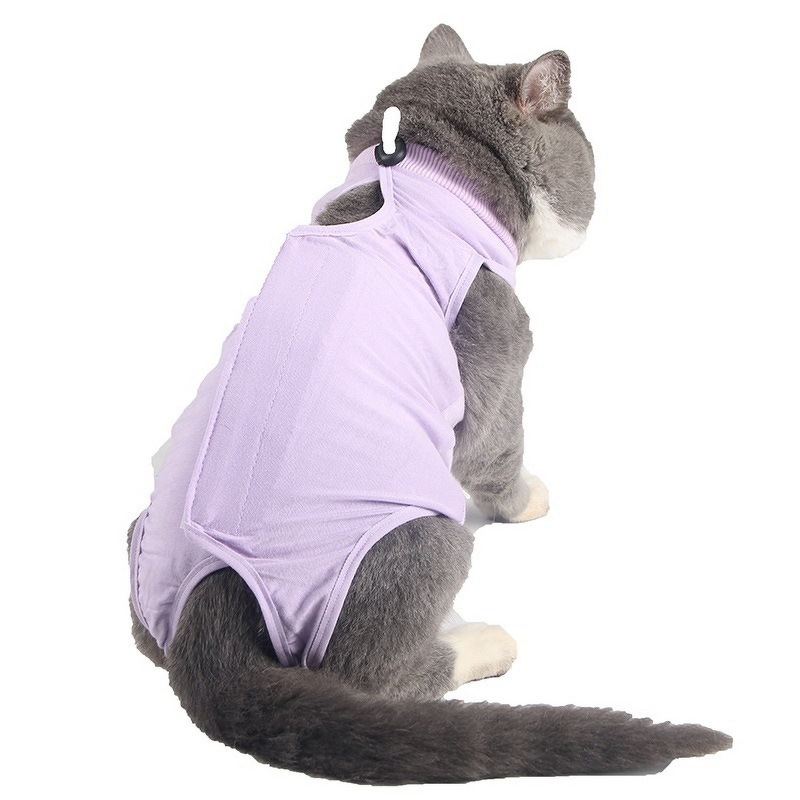 Recovery Cat Clothes Manufacturer - Surgical Abdominal Wounds Postoperative Professional