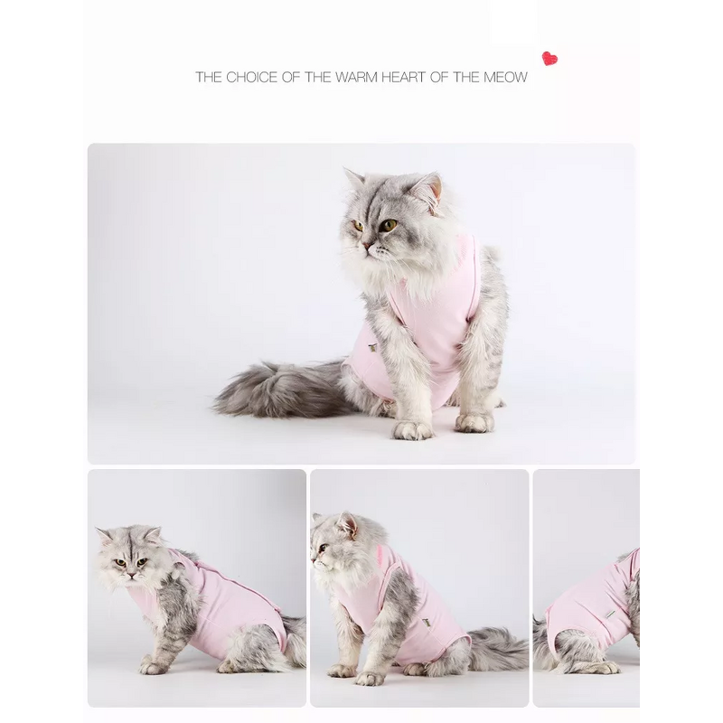 Cat Clothes Manufacturer - Surgical Sterilization Weaning Postoperative Anti-licking Summer