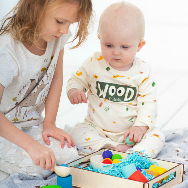 Educational Toy Manufacturer - Hot Sale Balls in Cups Wooden Sorter Game 12 Balls Color Sorting