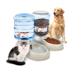 Pet Fountain Manufacturer - 3.8L Plastic Automatic Drink Water Dispenser for Cat Dog