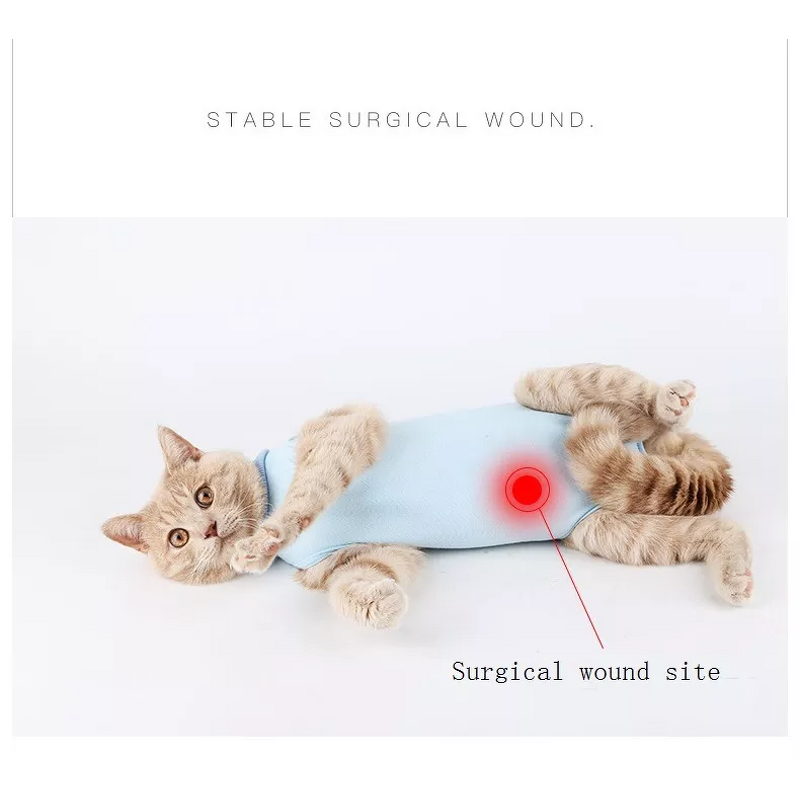 Cat Clothes Manufacturer - Surgical Sterilization Weaning Postoperative Anti-licking Summer