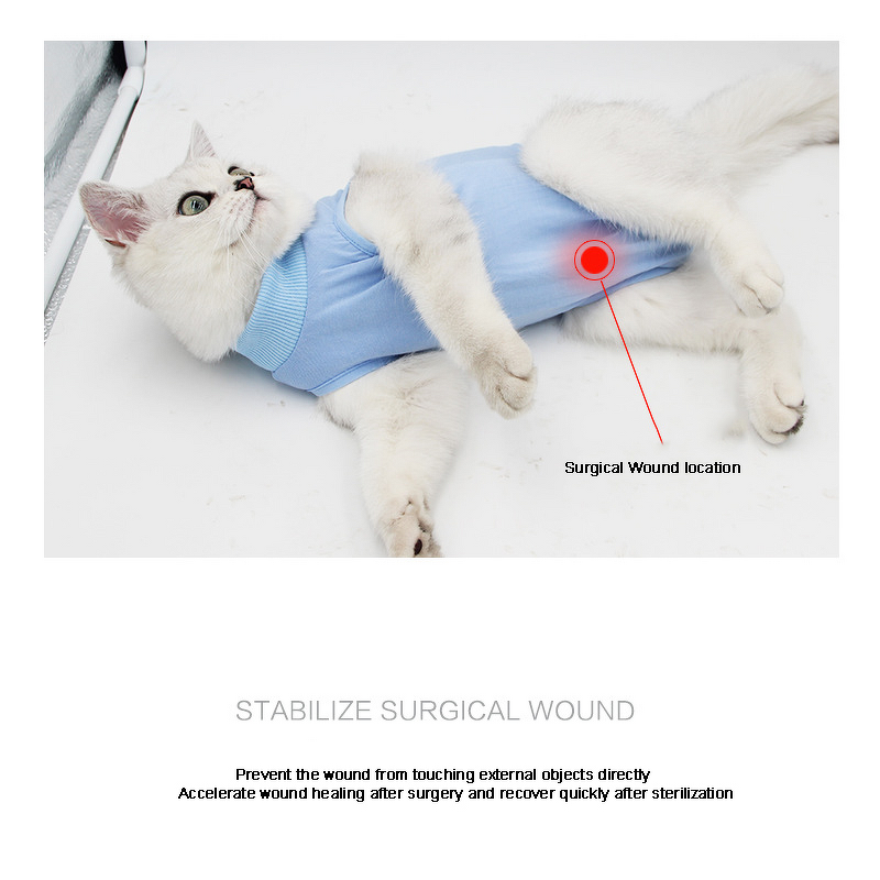 Recovery Cat Clothes Manufacturer - Surgical Abdominal Wounds Postoperative Professional