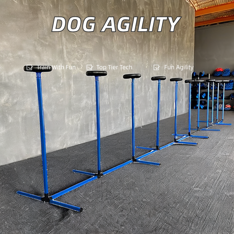 Dog Agility Training Set - Custom PVC Tunnel Jumps Hurdles Waterproof Canine Exercise