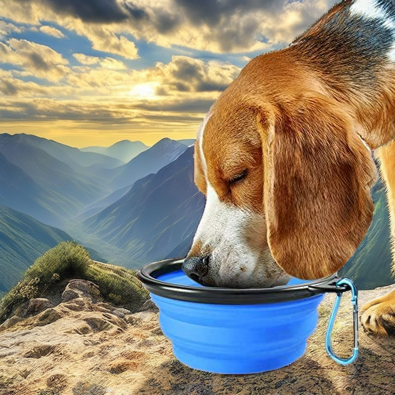 Collapsible Pet Bowl - Hot Sale Custom Logo Silicone Dog Cat Travel Feeder
