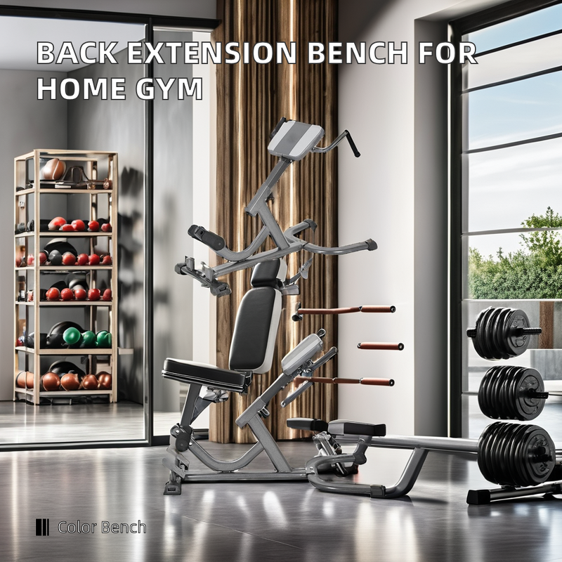 Roman Chair Bench - Steel Adjustable Lower Back Hamstring Glutes Home Gym Exercise