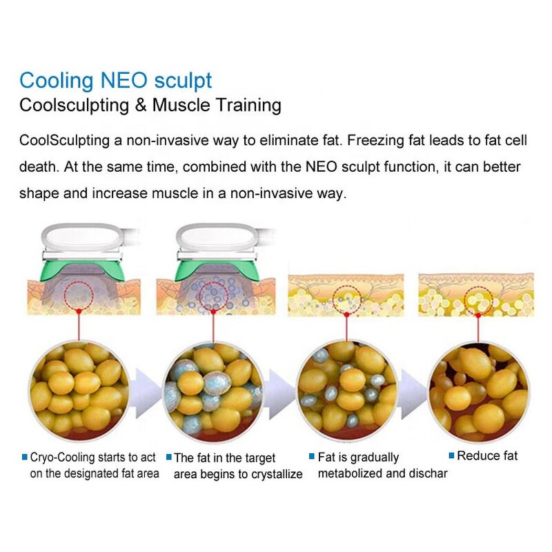 Fat Freezing Machine Manufacturer - 5 Handles Cryolipolysi Slimming Fat Freeze Skin Analyze