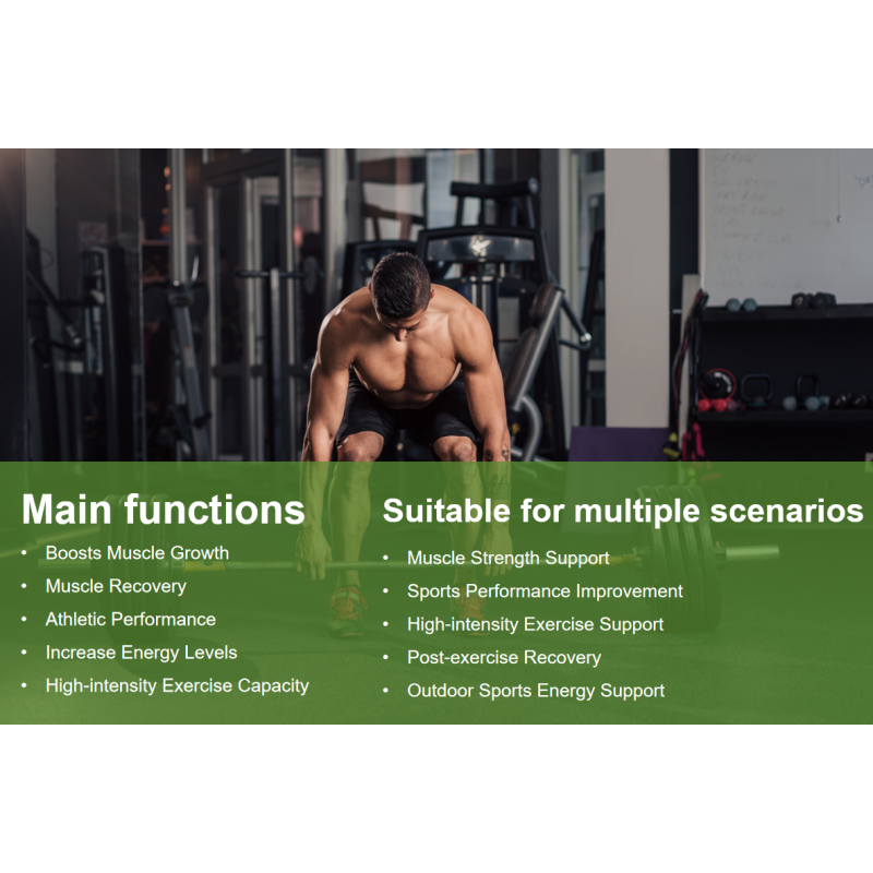 Creatine Monohydrate Gummies Manufacturer - Sports Energy Sugar Free Vegan Halal