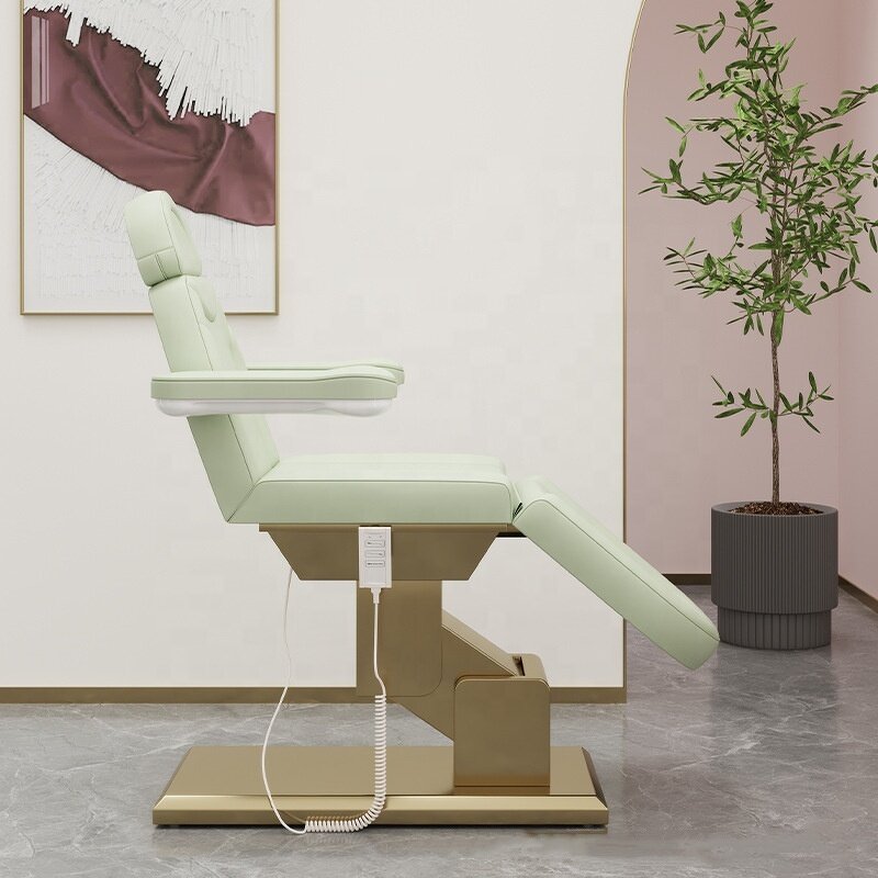 Beauty Bed Manufacturer - High-end Electric Foreign Lift Tattoo Dental Diagnosis Treatment Bed