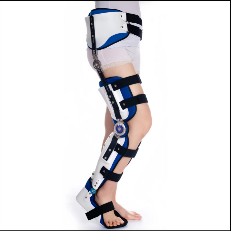 Brace Manufacturer - Manufacturer Customized Hip Knee Ankle Foot Joint Fixation Professional Medical Leg Hinged