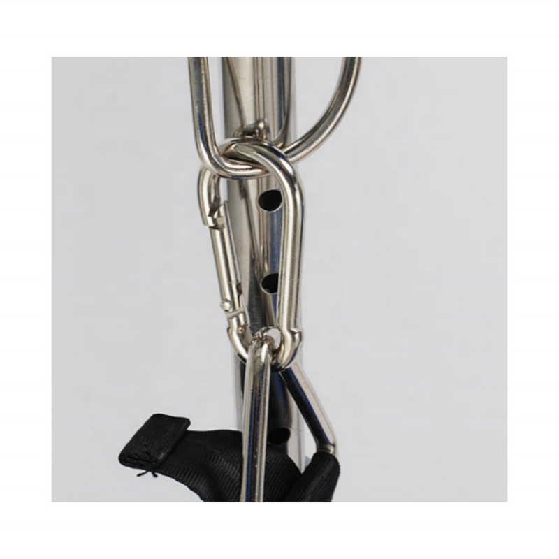 Rollator Walker Manufacturer - Training Assisted Standing Patient Rehabilitation for Paralyzed Children