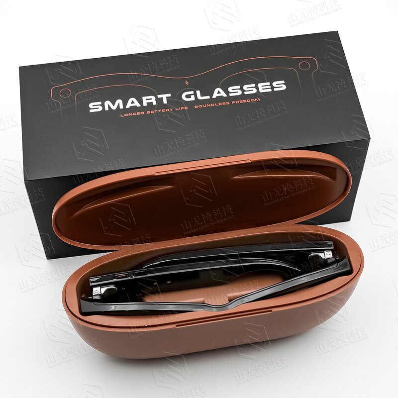 Smart Glasses Manufacturer - SANVNET 2025 GS5 Max Charging Case 8MP Camera 4K Dual Lenses