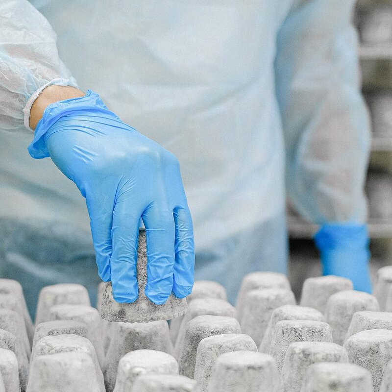 Disposable Nitrile Gloves Manufacturer - GMC 100% NBR 9 Inch Blue Powder Free Examination Gloves