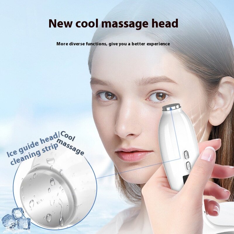 Beauty Instrument Manufacturer - Two-in-One Electric 4 Color Light French Pattern Photon Massage Ice Roller Waterproof