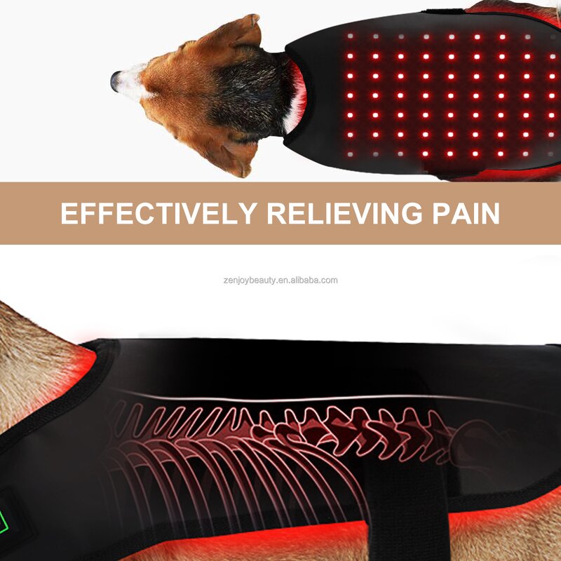 Dog Red Light Therapy Mat Manufacturer - 2024 Custom 660nm 850nm Infrared LED Blanket for Pain Beauty Care