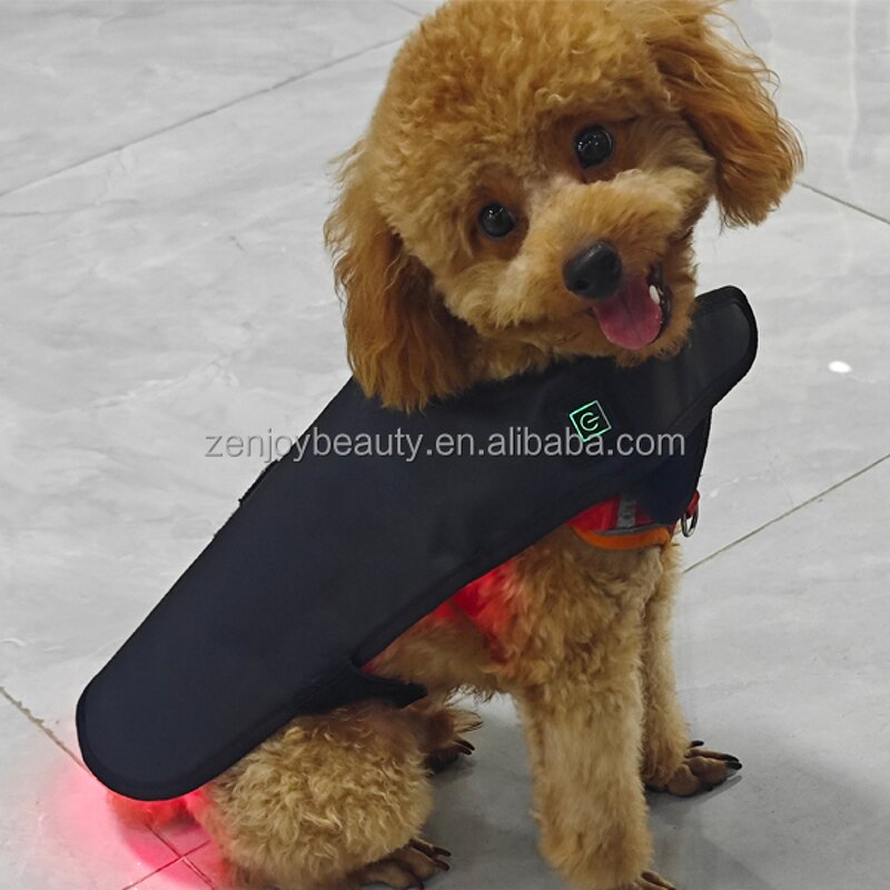 Pet Red Light Therapy Belt Manufacturer - Wholesale Home Use for Dog Care Infrared LED Wrap