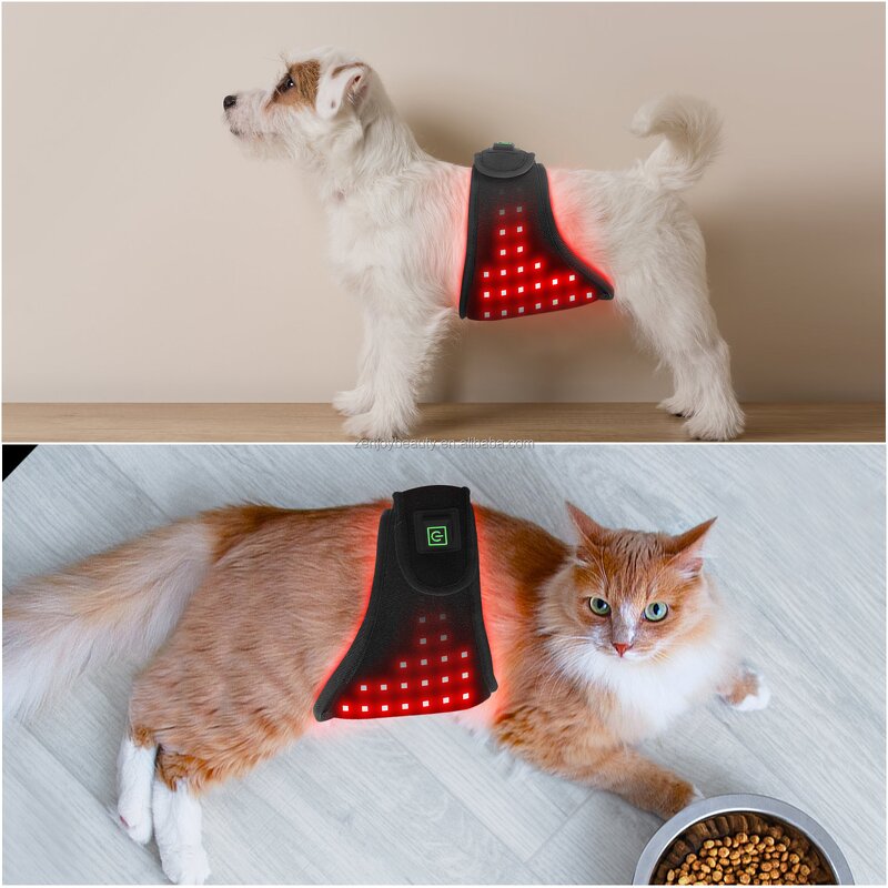 Red Light Therapy Belt Manufacturer - 660nm 850nm Infrared Wrap Home Use for Veterinary Pet Treatment