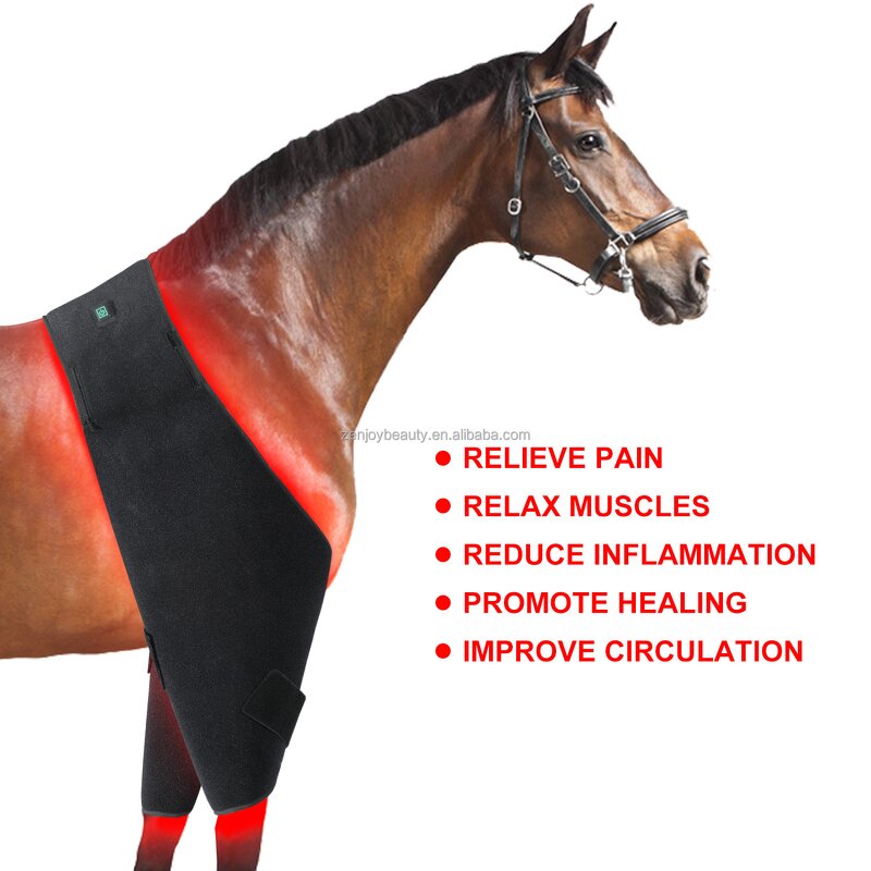 Red Light Infrared Pet Therapy Pad Manufacturer - New Design LED for Belly Back Equine Pain Relief Horse Care