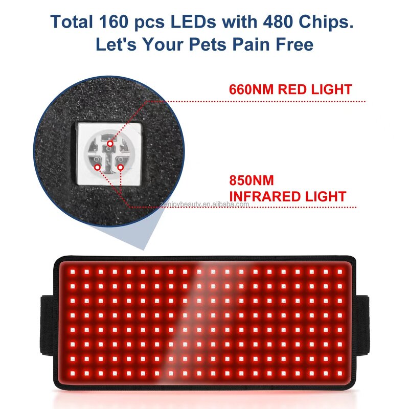 Horse Red Light Therapy Mat Manufacturer - 2025 Built-in Battery Wireless Pad for Back Health & Veterinary Clinic