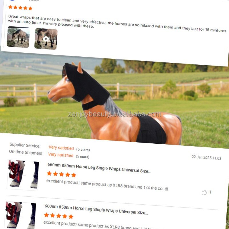 Horse Red Therapy Light Hood Manufacturer - for Racing Pain Relief Neck 660nm 850nm Infrared Injury Wrap