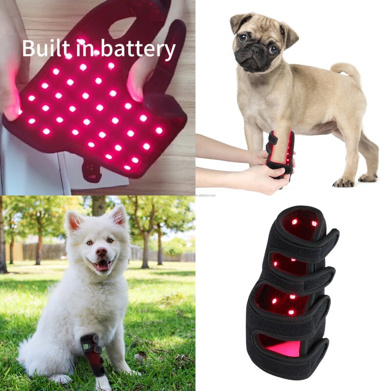 Red Light Therapy Belt Manufacturer - Custom Infrared 660nm 850nm LED for Dog Cat Leg Pain Relief