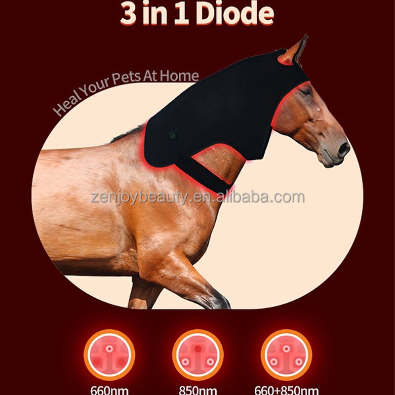 Horse Red Therapy Light Hood Manufacturer - for Racing Pain Relief Neck 660nm 850nm Infrared Injury Wrap