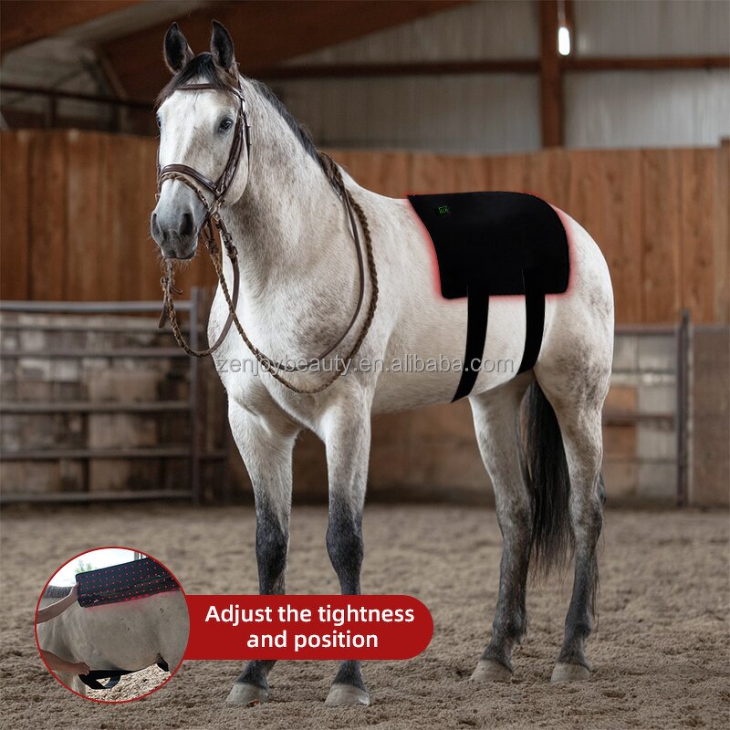 Horseback Red Light Therapy Pad Manufacturer - 2025 Portable Built-In Battery Wrap Belt 660nm 850nm for Pain Relief