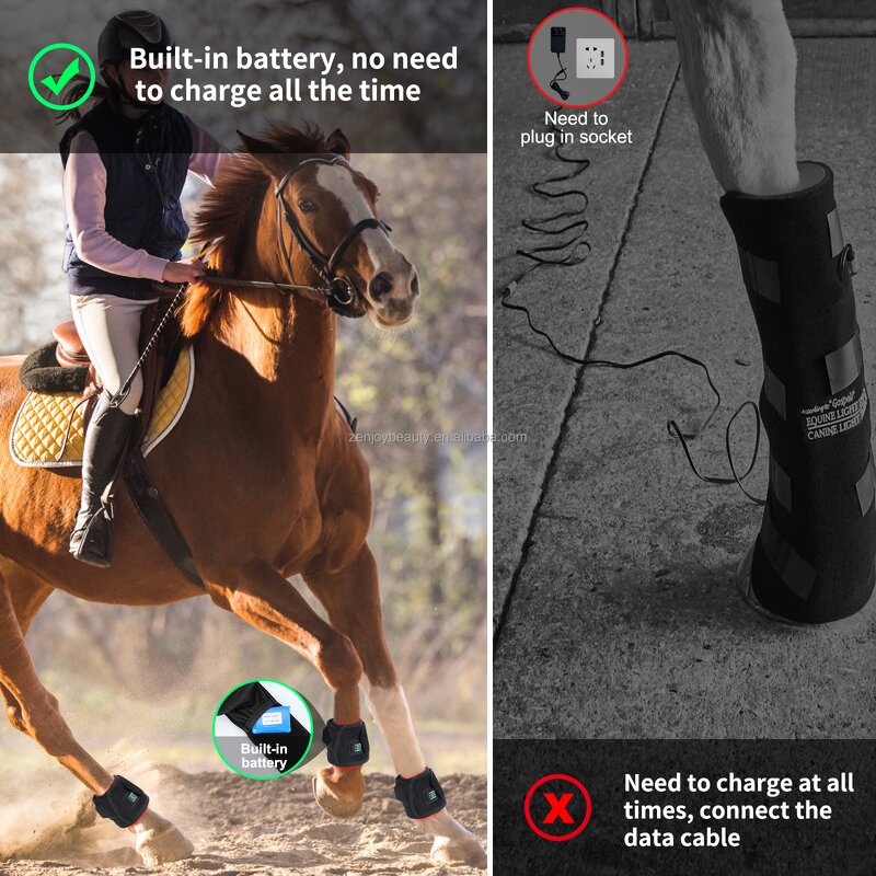 Horse Red Light Therapy Belt Manufacturer - Built-In Battery 660nm 850nm Wrap for Equine Pain Relief