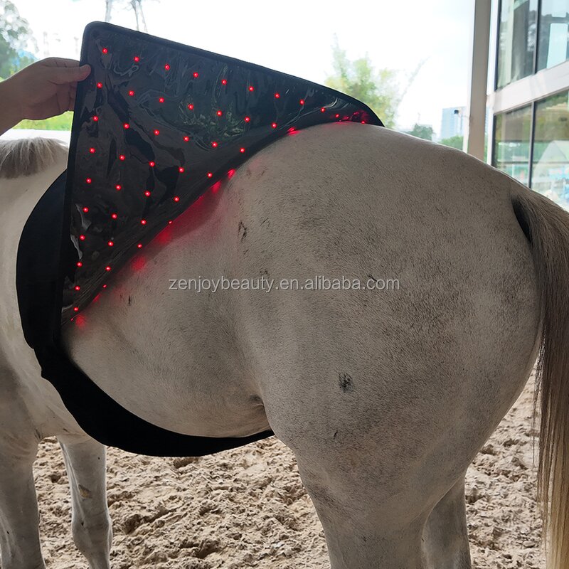 Horseback Red Light Therapy Pad Manufacturer - 2025 Portable Built-In Battery Wrap Belt 660nm 850nm for Pain Relief