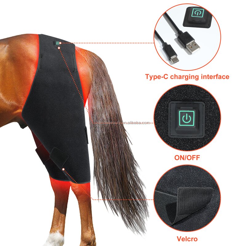Horse Red Therapy Light Manufacturer - Back Blanket 660nm 850nm for Pain Relief & OEM ODM