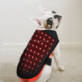 Pet Red Light Therapy Belt Manufacturer - Wholesale Home Use for Dog Care Infrared LED Wrap