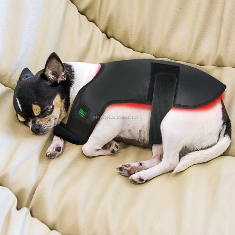 Dog Red Light Therapy Mat Manufacturer - 2024 Custom 660nm 850nm Infrared LED Blanket for Pain Beauty Care