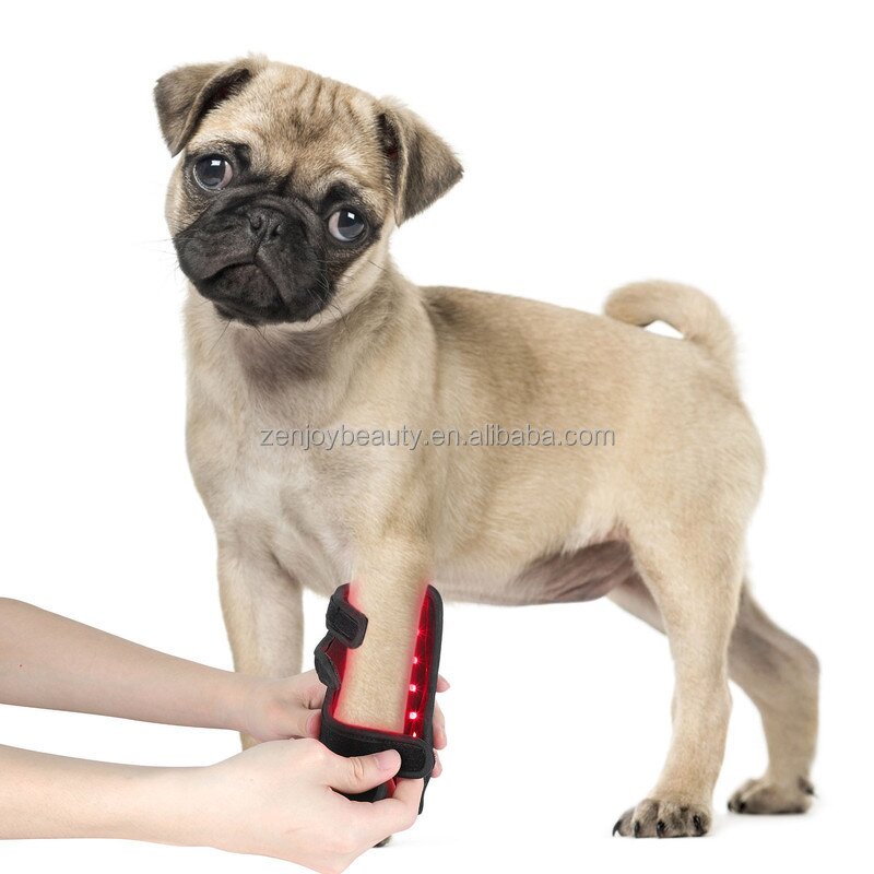 Wearable Therapy Device Manufacturer - 660nm 850nm Red Light Battery for Pets & People