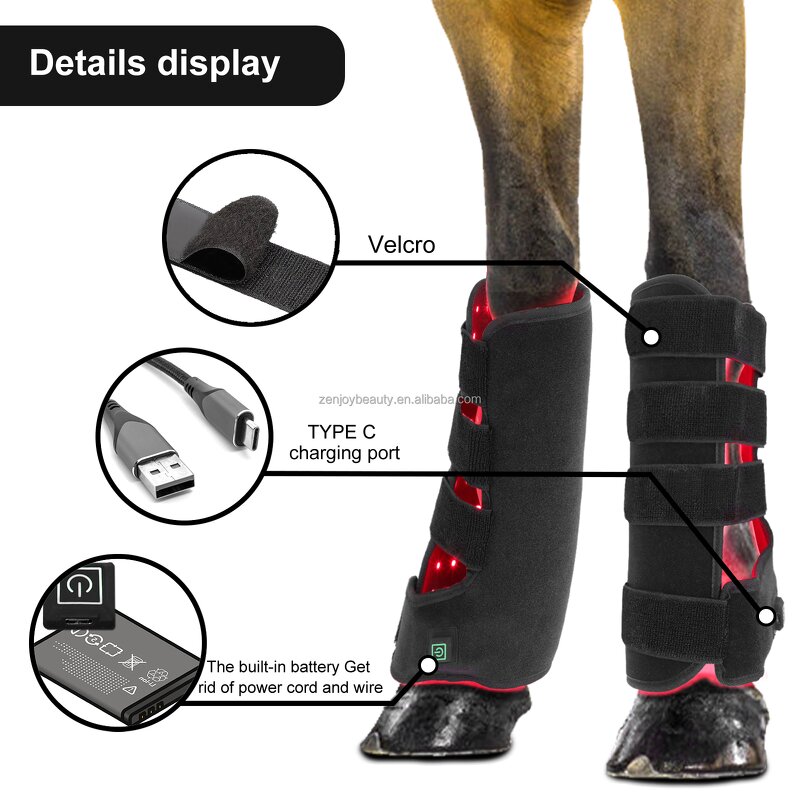 Veterinary Equine Red Light Therapy Manufacturer - Battery Photonic for Leg Joint Hoof Therapy Horse Care Product